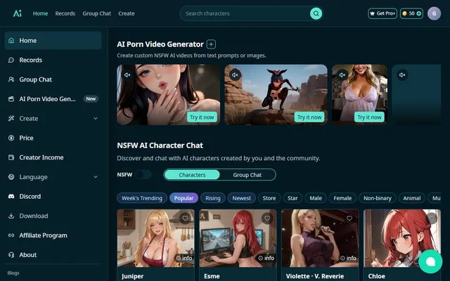 NSFWC AI homepage preview